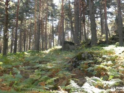 Monumento Natural Peñas del Arcipreste de Hita; bosque de la herreria abantos sierra aitana lago de 